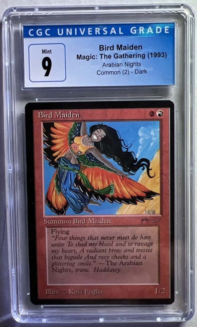Bird Maiden