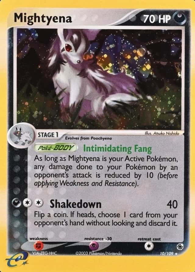 Holo