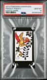Pidgeot/pidgey