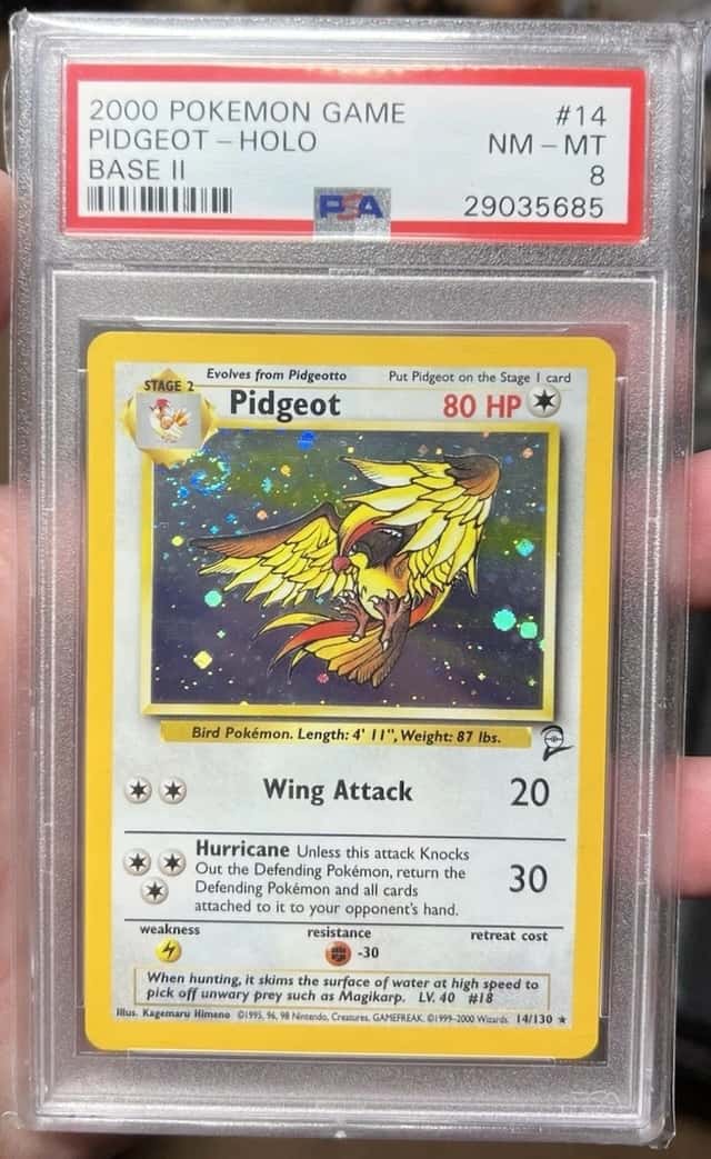 Pidgeot