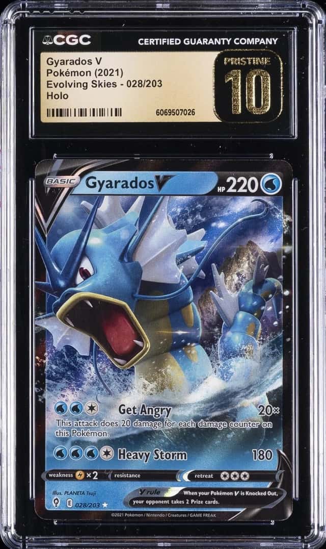 Gyarados V