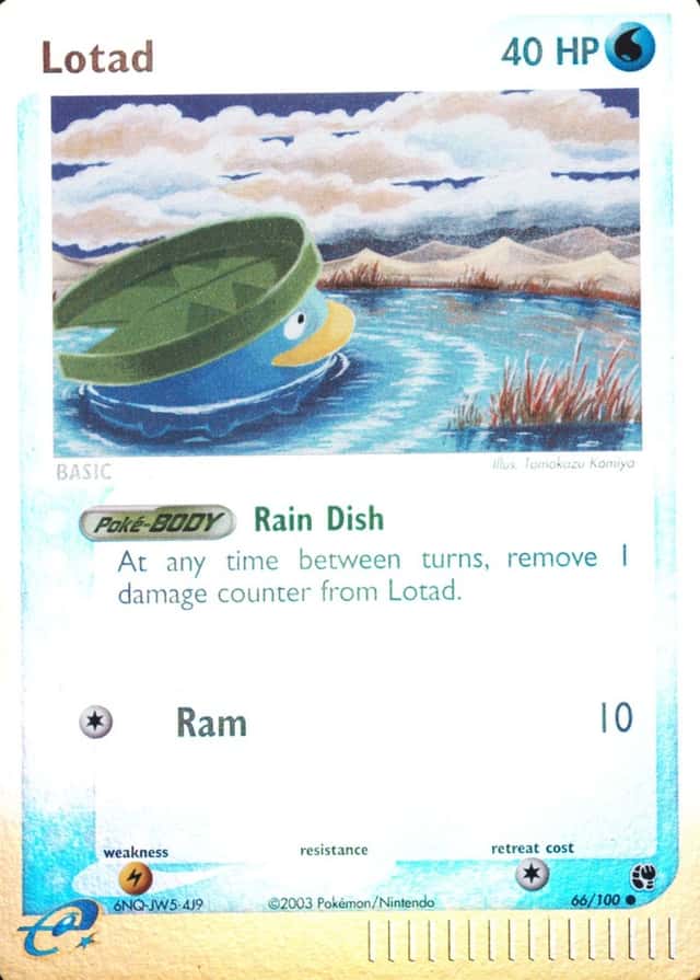 Reverse Holo
