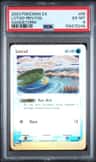 Lotad