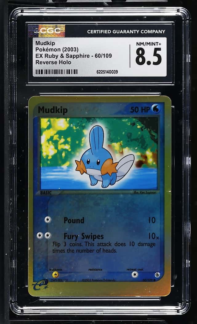 Mudkip