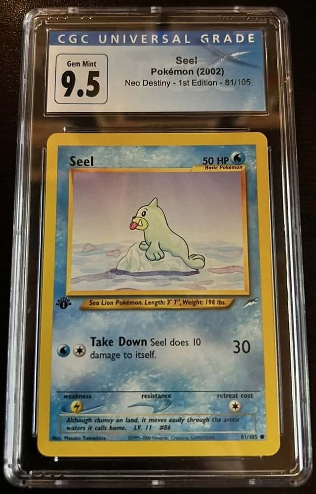 Seel