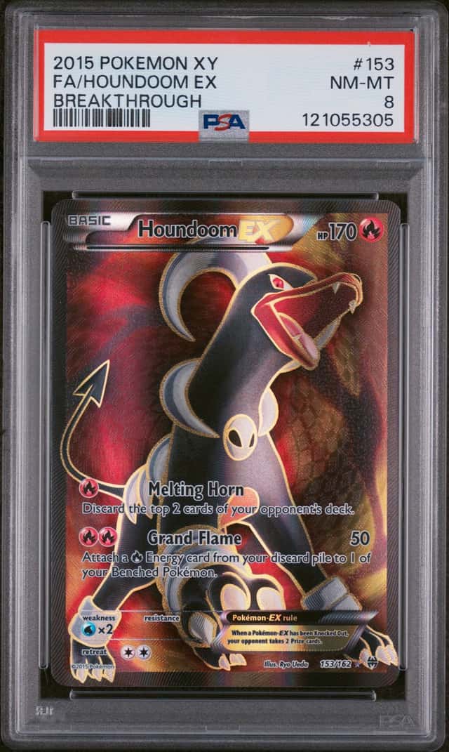 Houndoom EX