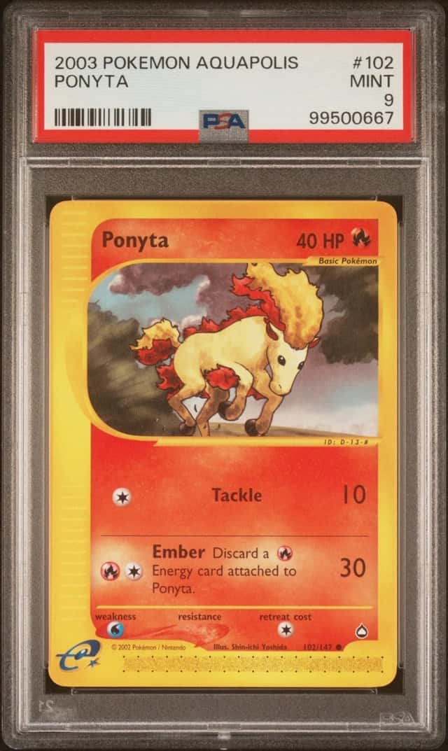 Ponyta