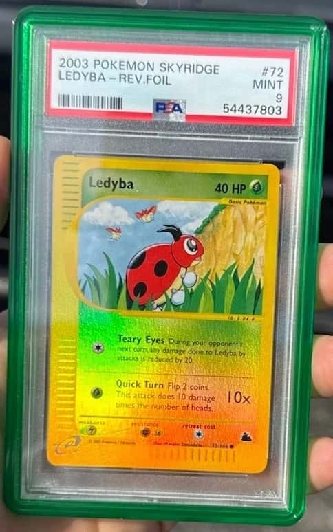 Ledyba