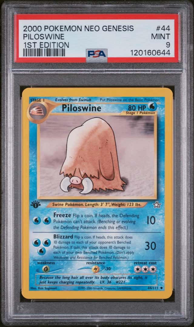 Piloswine