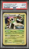 Chesnaught