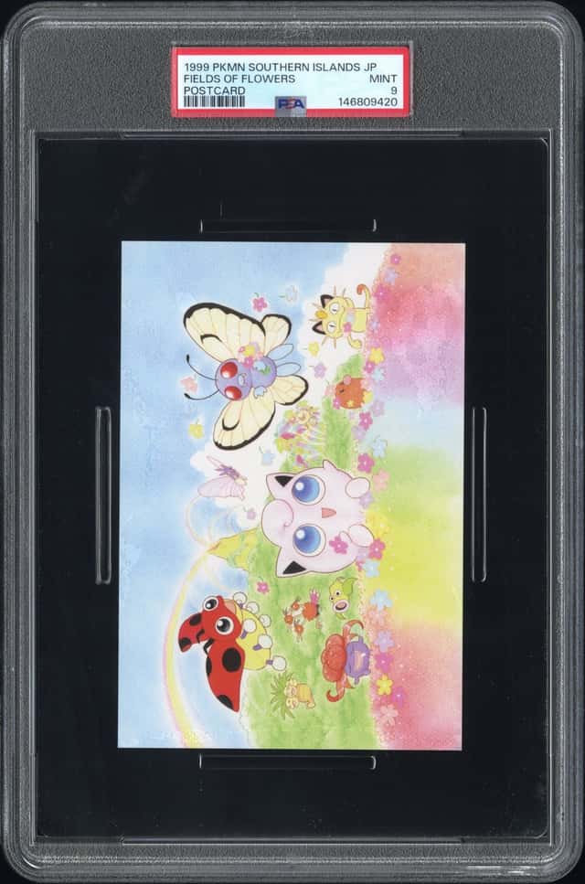 Fields Of Flowers