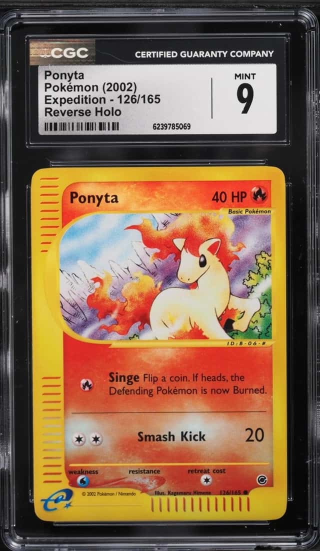 Ponyta