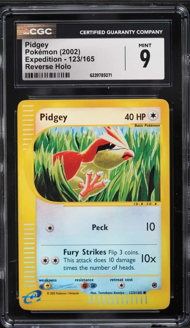 Pidgey