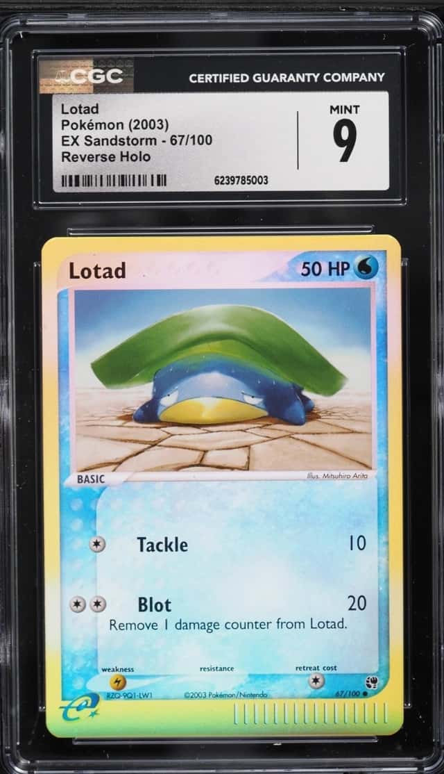 Lotad