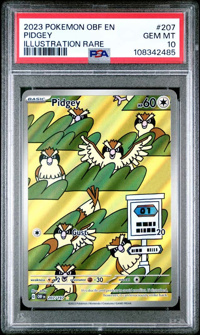 Pidgey