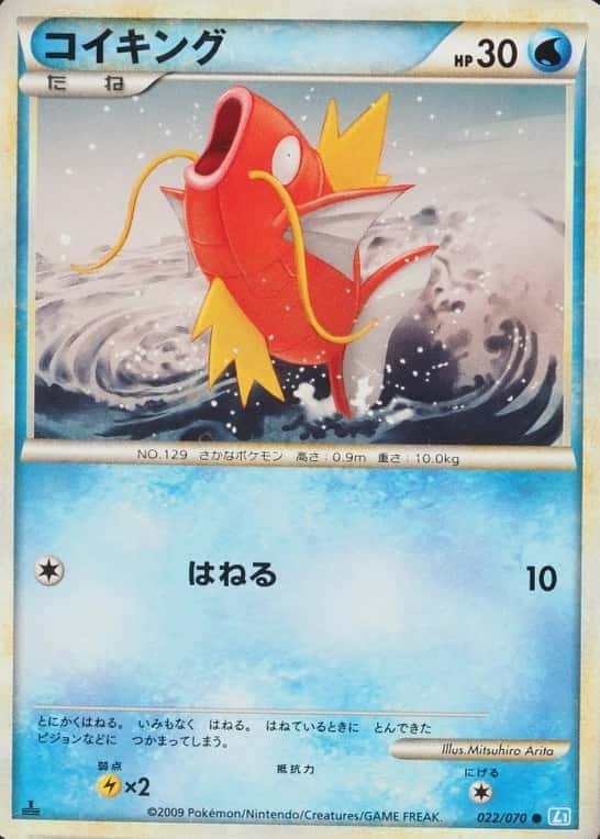 1st Edition