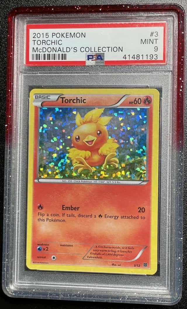 Torchic