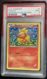 Torchic