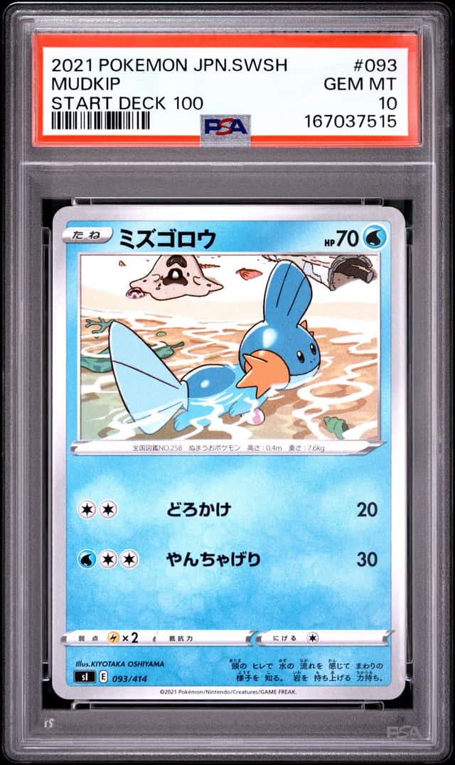 Mudkip