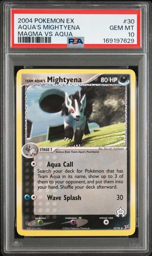 Aqua's Mightyena