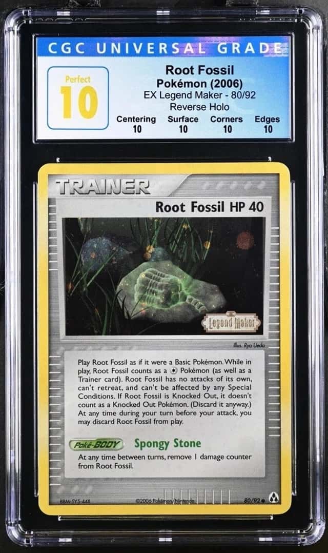 Root Fossil