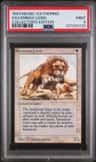 Savannah Lions