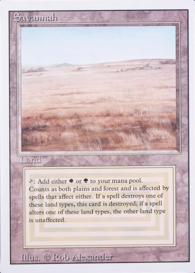 Base / no variant