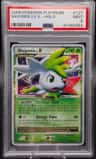 Shaymin Lv X