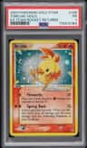 Torchic