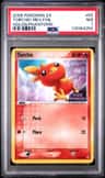 Torchic
