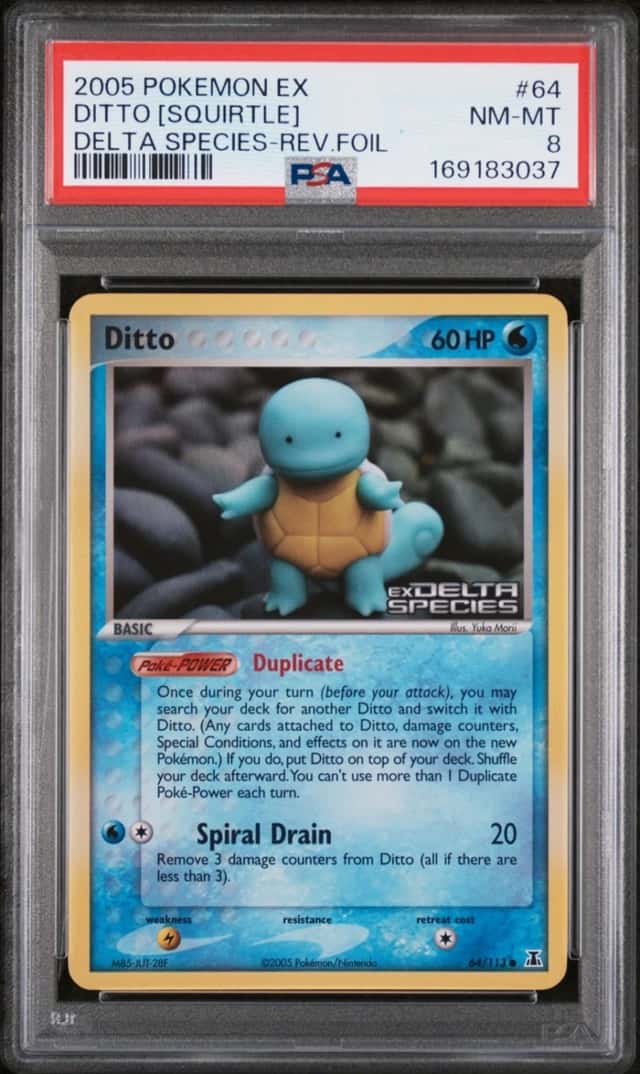 Ditto [Squirtle]
