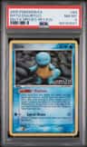 Ditto [squirtle]