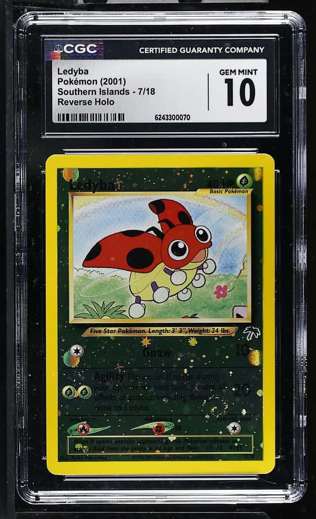 Ledyba