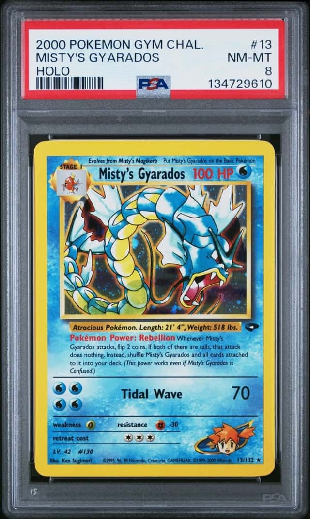 Misty's Gyarados