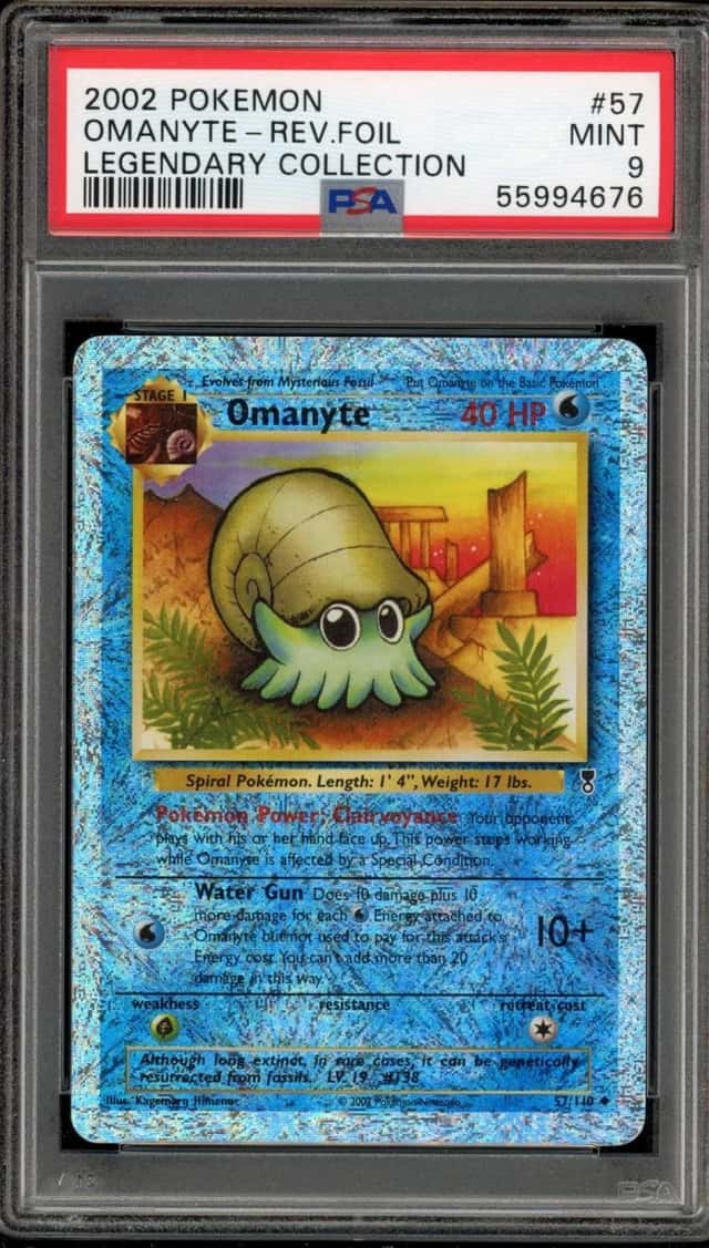 Omanyte