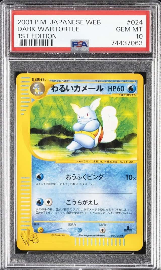 Dark Wartortle
