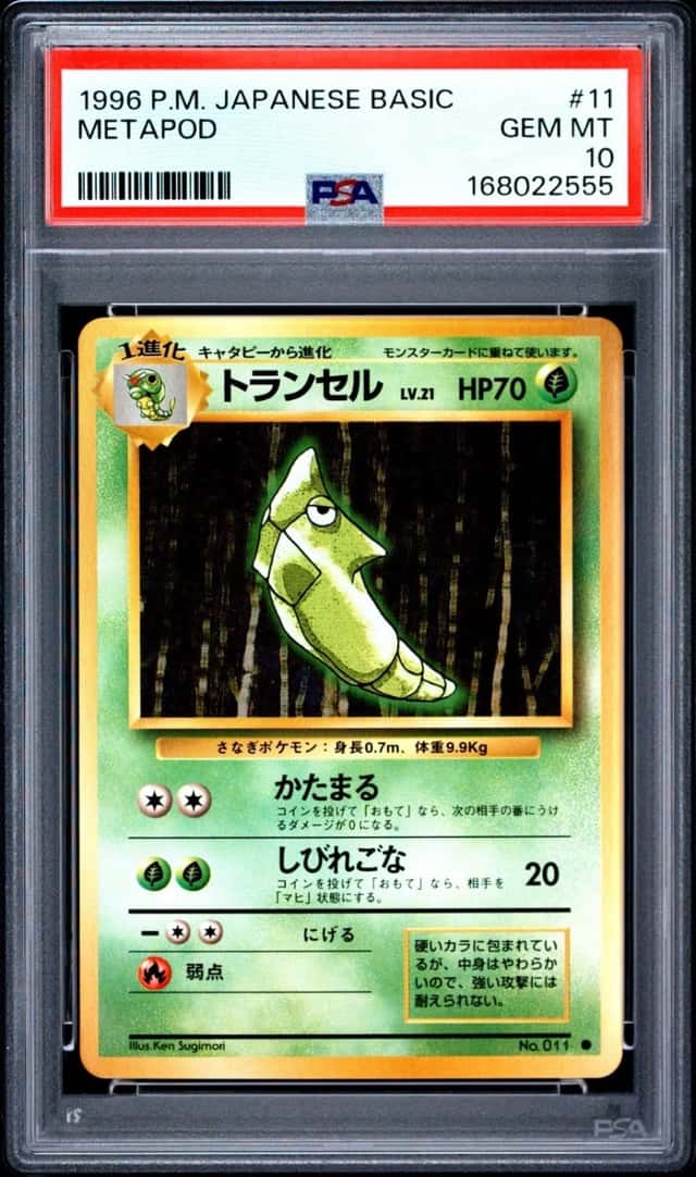 Metapod