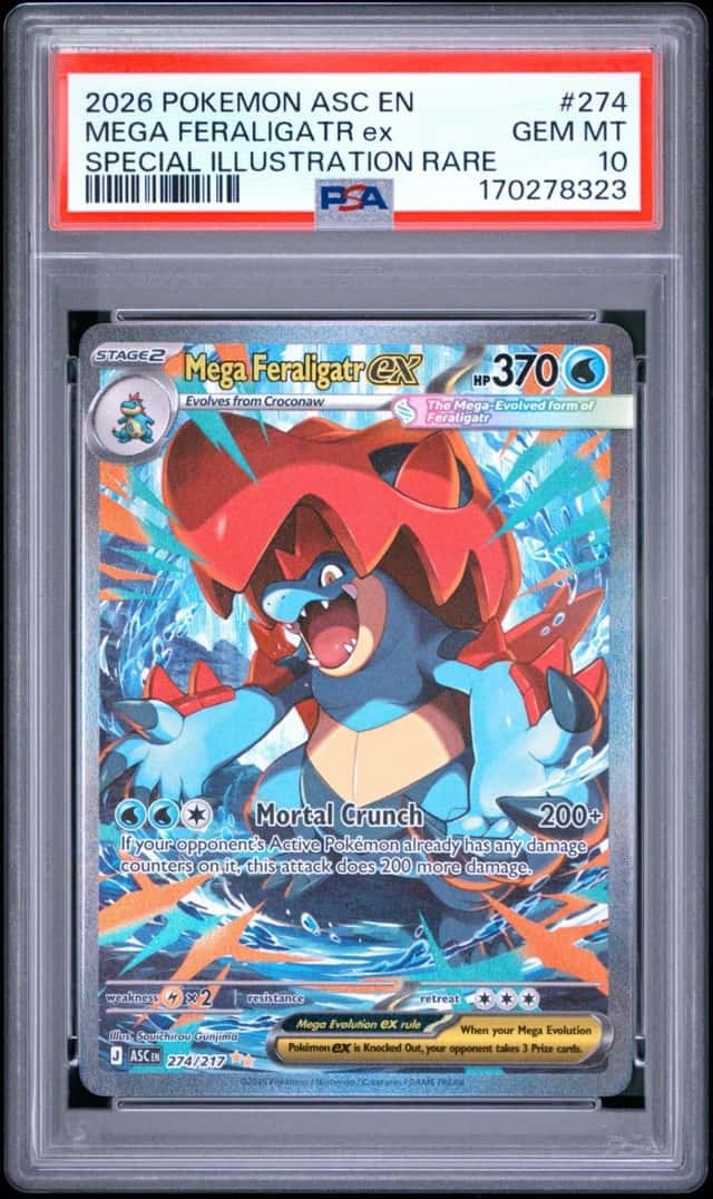 MEGA FERALIGATR ex