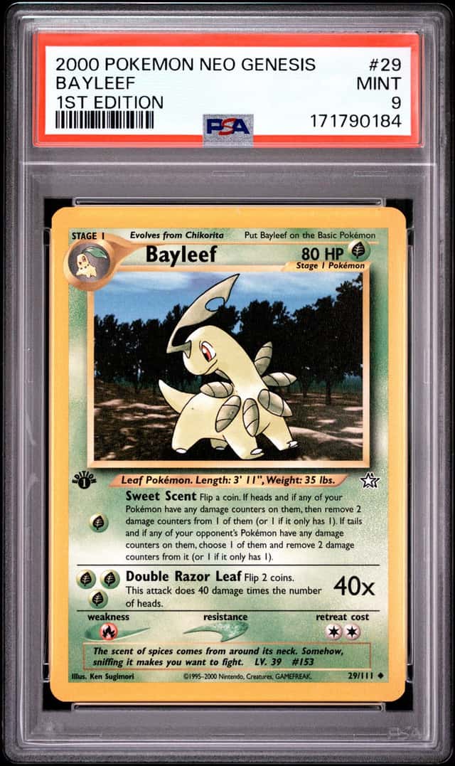 Bayleef