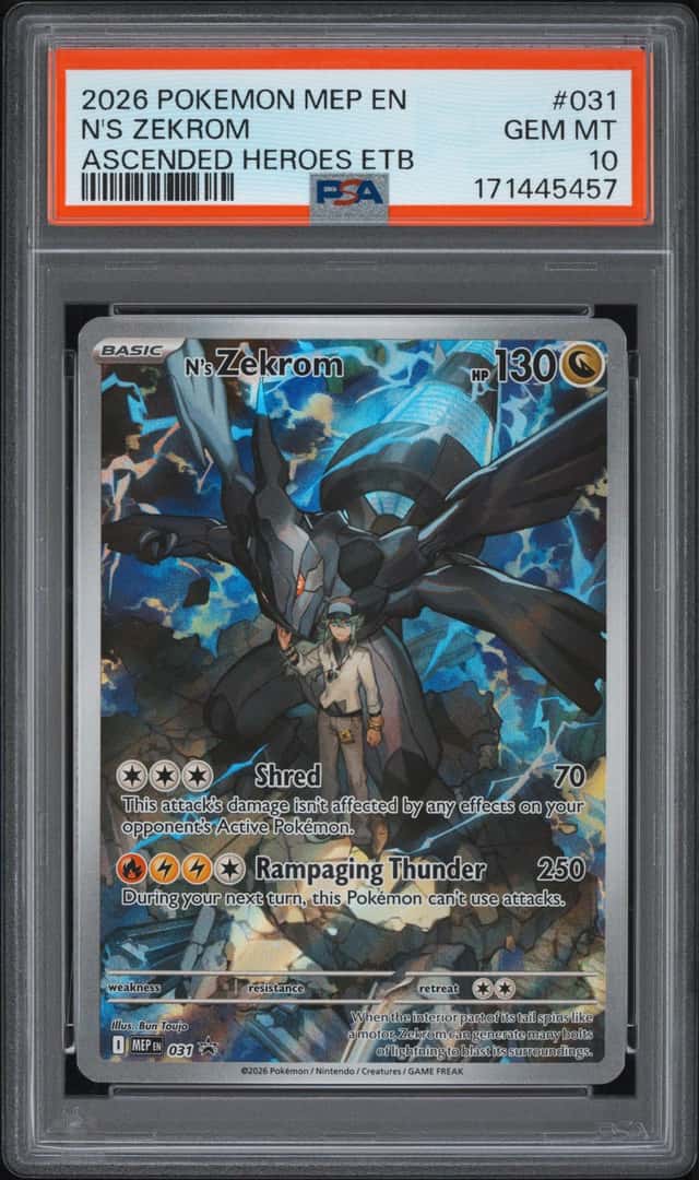 N's Zekrom