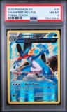 Swampert