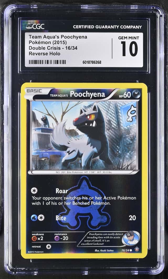 Team Aqua's Poochyena