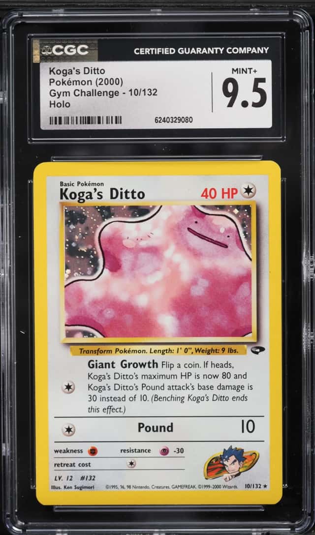 Koga's Ditto
