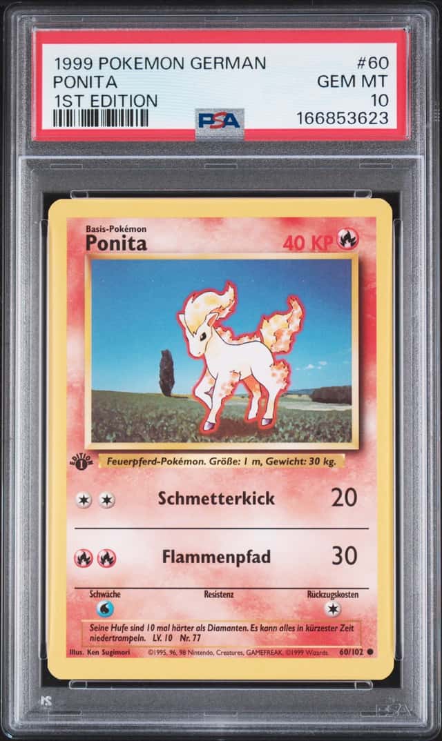 Ponyta