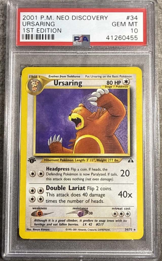 Ursaring