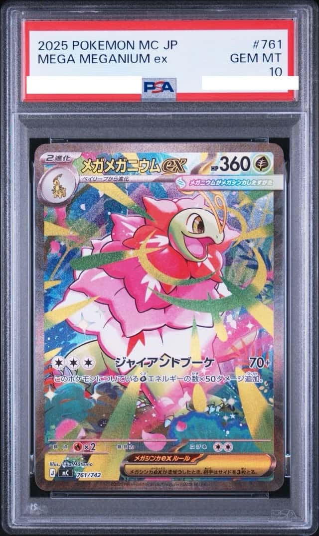 MEGA MEGANIUM ex