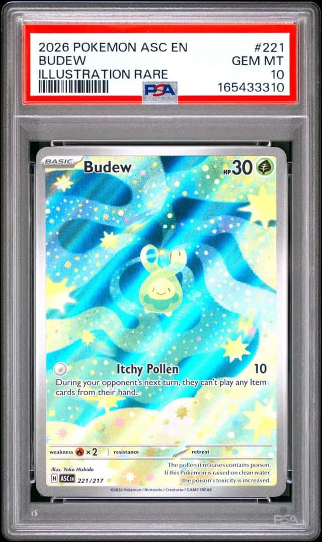 Budew