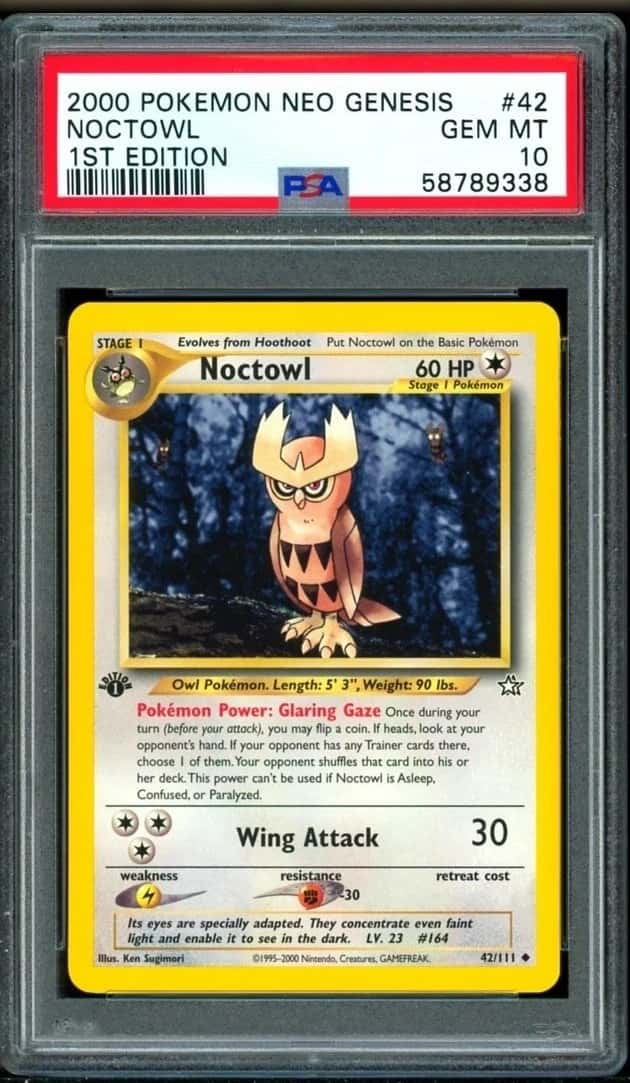 Noctowl