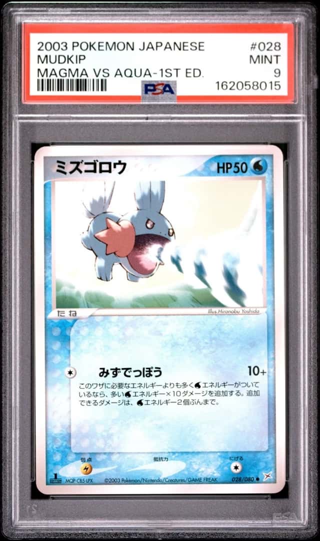 Mudkip