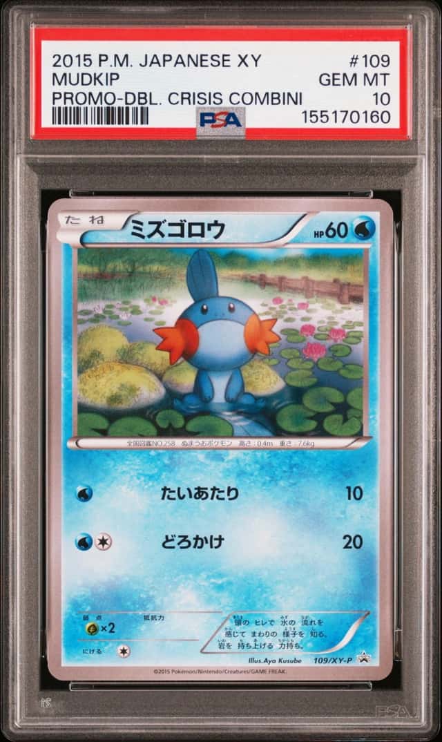 Mudkip
